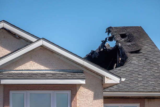 Top rated local Soot Cleanup specialists in Minnesota, MN